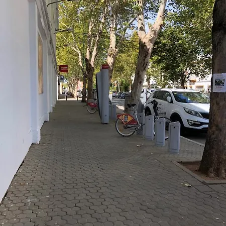 1 Y Salon Con Sofa Cama Bien Comunicado Con El Centro Seville